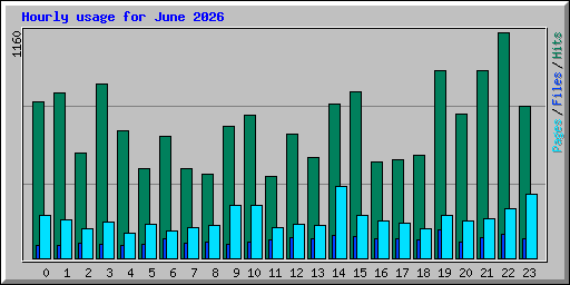 Hourly usage for June 2026